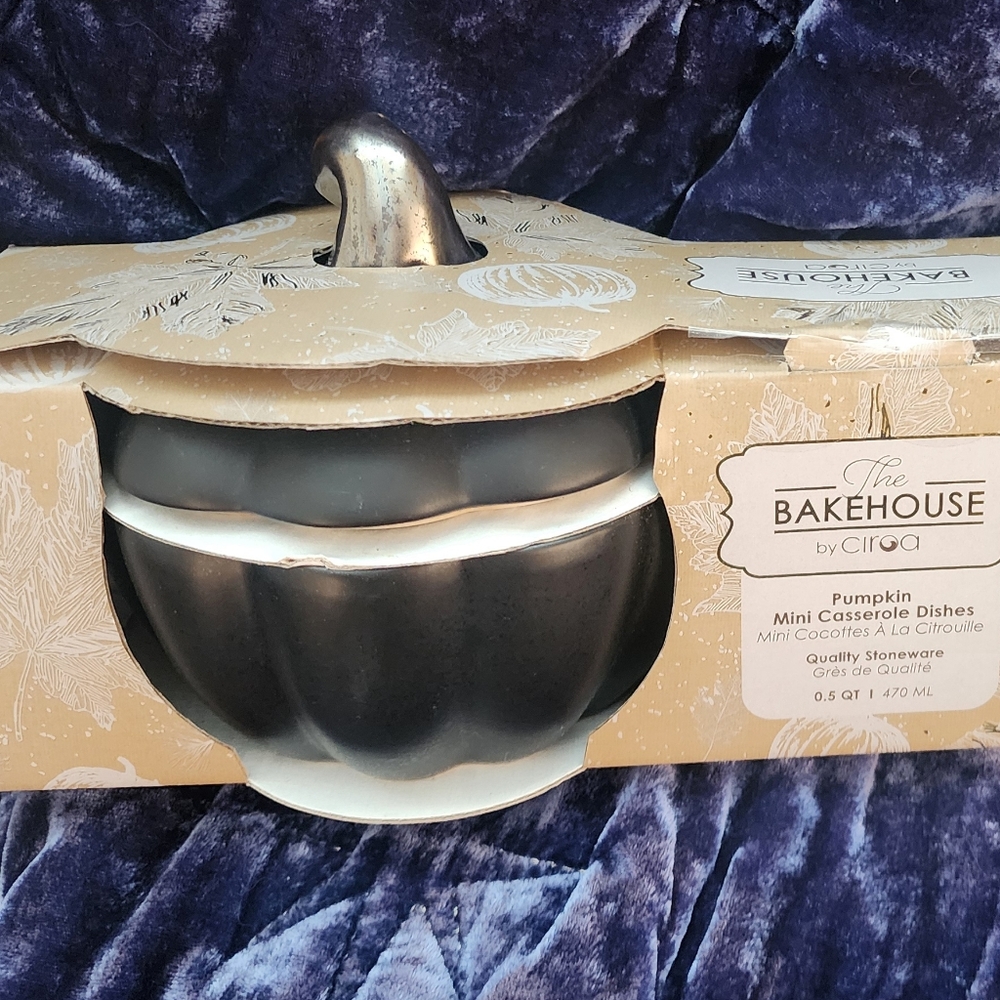 Mini Pumpkin casserole dishes set of 2